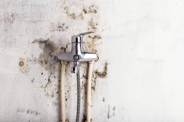 Best Certified Mold Removal  in Gahanna, OH