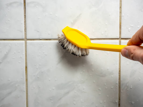 Best Fast Mold Removal  in Gahanna, OH