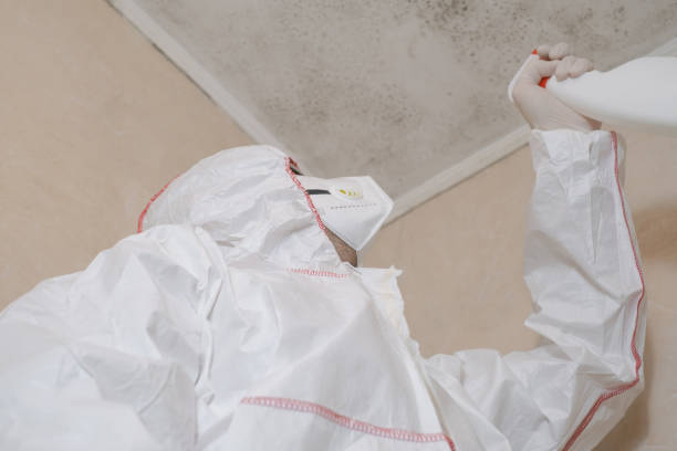 Best Commercial Mold Removal  in Gahanna, OH