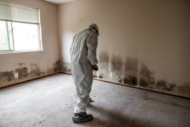 Best Mold Remediation Experts  in Gahanna, OH