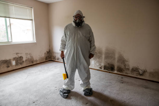 Best Toxic Mold Removal  in Gahanna, OH