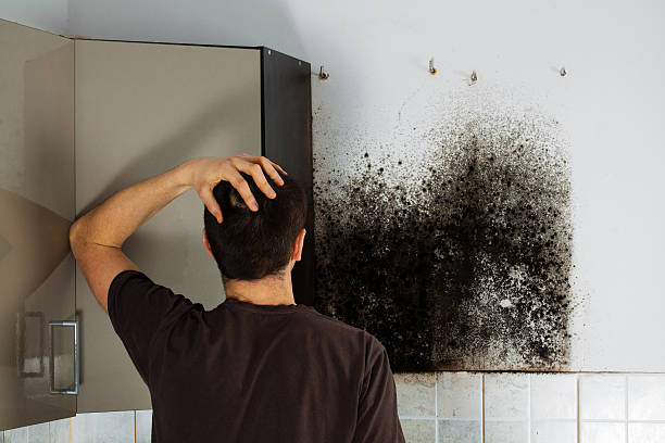 Best Home Mold Removal  in Gahanna, OH